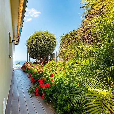 Pinheira Iii Heated Pool Dom wakacyjny