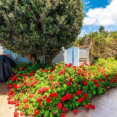 Pinheira Iii Heated Pool Dom wakacyjny *